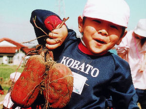 こばと西おいも畑